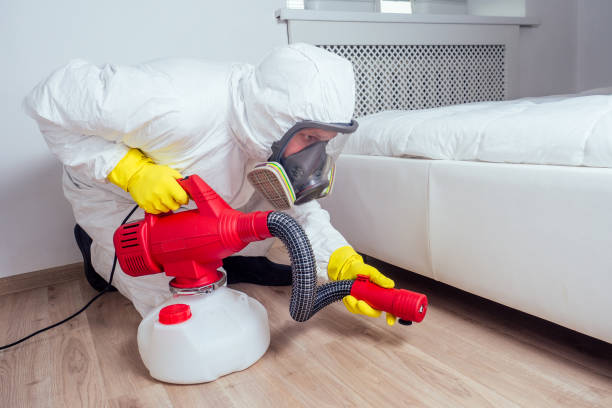 Professional Pest Control in Zephyrhills South, FL